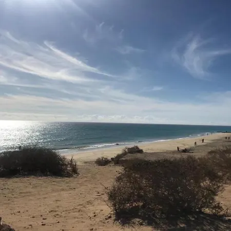 Welooveyou Turquesa *